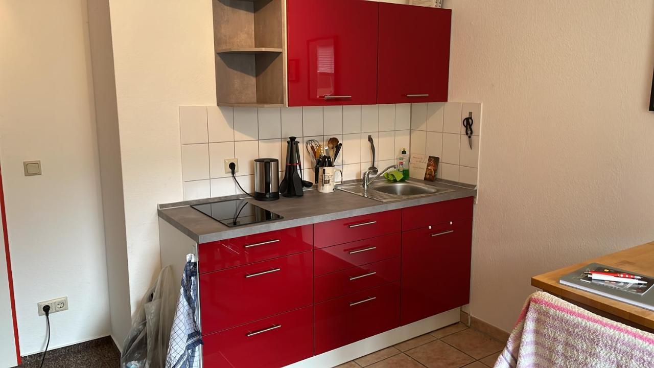 Apartment An Der Muehle In Wernigerode /Hasserode Dış mekan fotoğraf